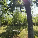 Hébergement de vacances 13345-1-vig-poppelvej-21 Vig